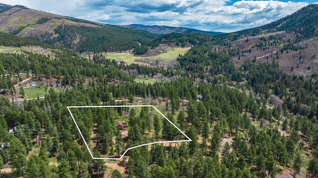 520 Los Ranchitos Dr, Durango, CO 81301 - view of mountain background featuring a heavily wooded area