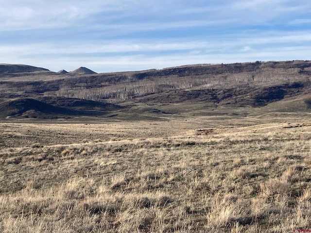 LOT13 62x Rd, Placerville, CO 81430