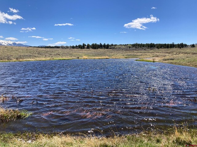 LOT13 62x Rd, Placerville, CO 81430