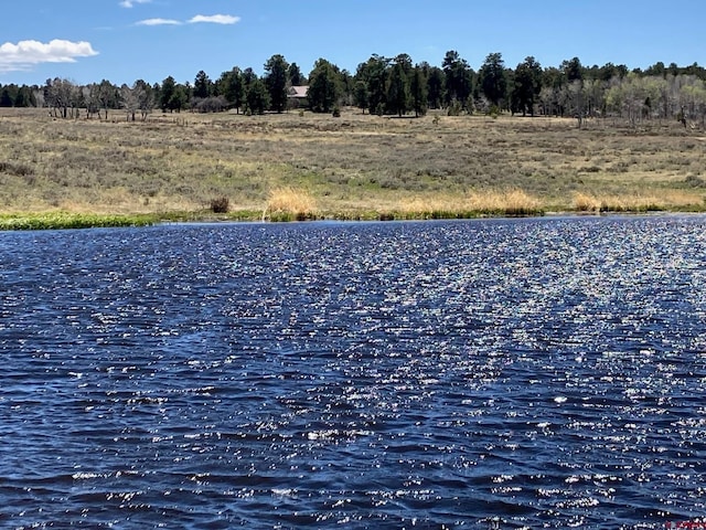 LOT13 62x Rd, Placerville, CO 81430