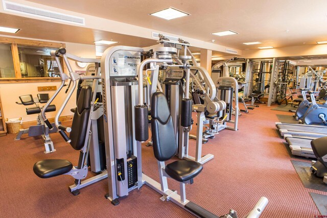 gym featuring carpet