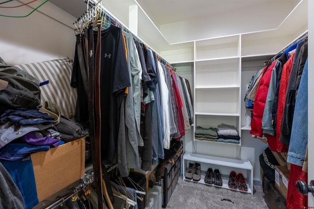 1223 Trails Blvd, Pagosa Springs, CO 81147 - walk in closet featuring carpet flooring