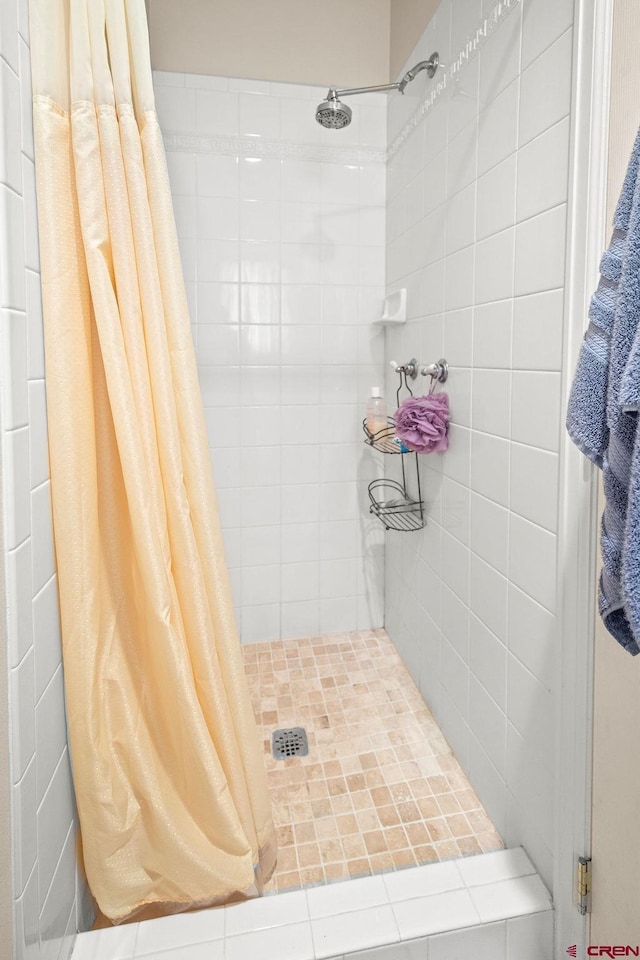 1060 Alta Vista Dr, Craig, CO 81625 - full bath featuring a stall shower
