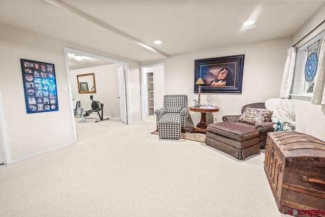 1060 Alta Vista Dr, Craig, CO 81625 - sitting room featuring carpet floors, baseboards, and recessed lighting