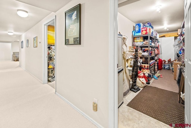 1060 Alta Vista Dr, Craig, CO 81625 - hall with carpet and baseboards