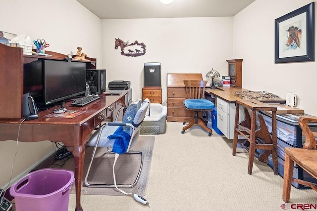 1060 Alta Vista Dr, Craig, CO 81625 - office space featuring carpet flooring