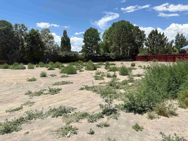 20 Meadow Ln, Monte Vista, CO 81144 - view of undeveloped land