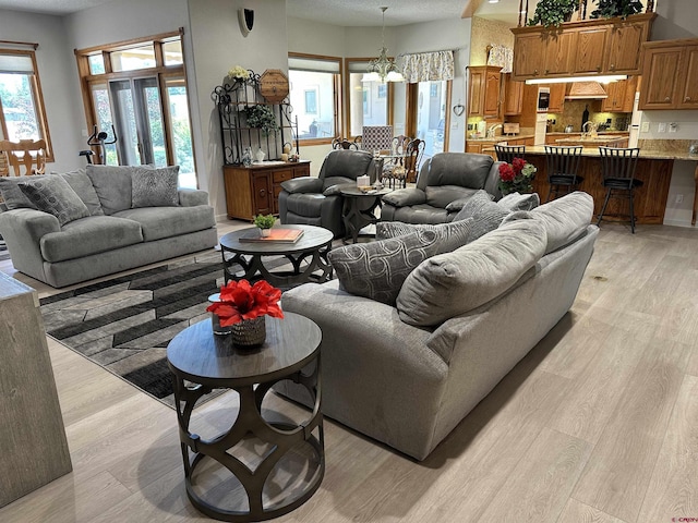 20 Meadow Ln, Monte Vista, CO 81144 - living area featuring light wood-type flooring, a chandelier, and a textured ceiling