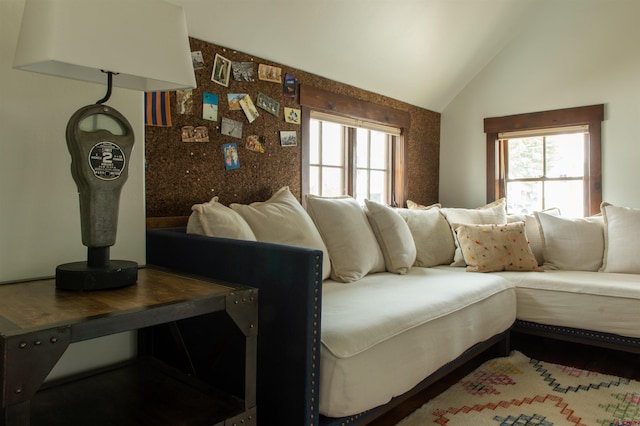 209 Whiterock Ave, Crested Butte, CO 81224 - living room featuring vaulted ceiling