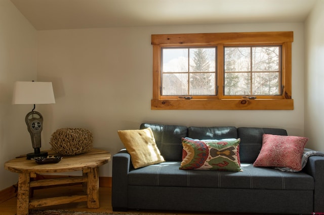 209 Whiterock Ave, Crested Butte, CO 81224 - living area featuring plenty of natural light
