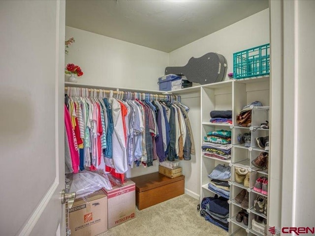 338 Escobar Ave, Pagosa Springs, CO 81147 - walk in closet with carpet flooring