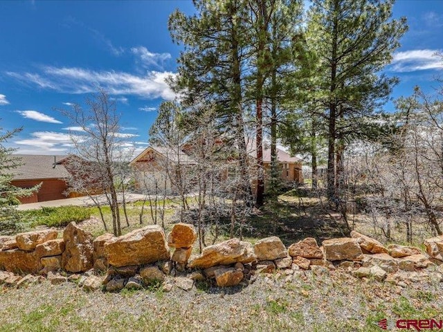 338 Escobar Ave, Pagosa Springs, CO 81147 - view of yard
