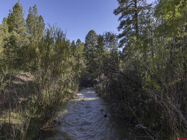 1789 County Road 44z S, Norwood, CO 81423 - water view