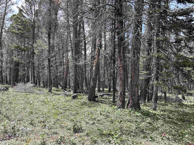 792 Crest Dr, Cimarron, CO 81220