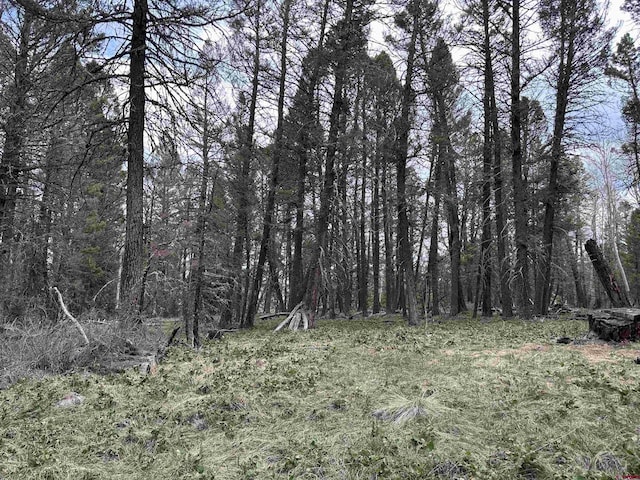 792 Crest Dr, Cimarron, CO 81220