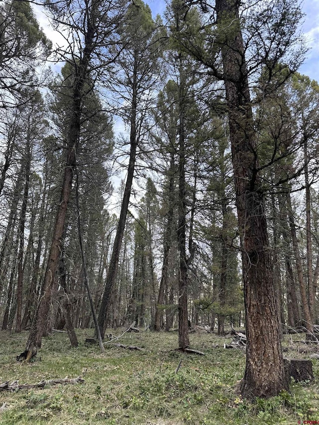 792 Crest Dr, Cimarron, CO 81220