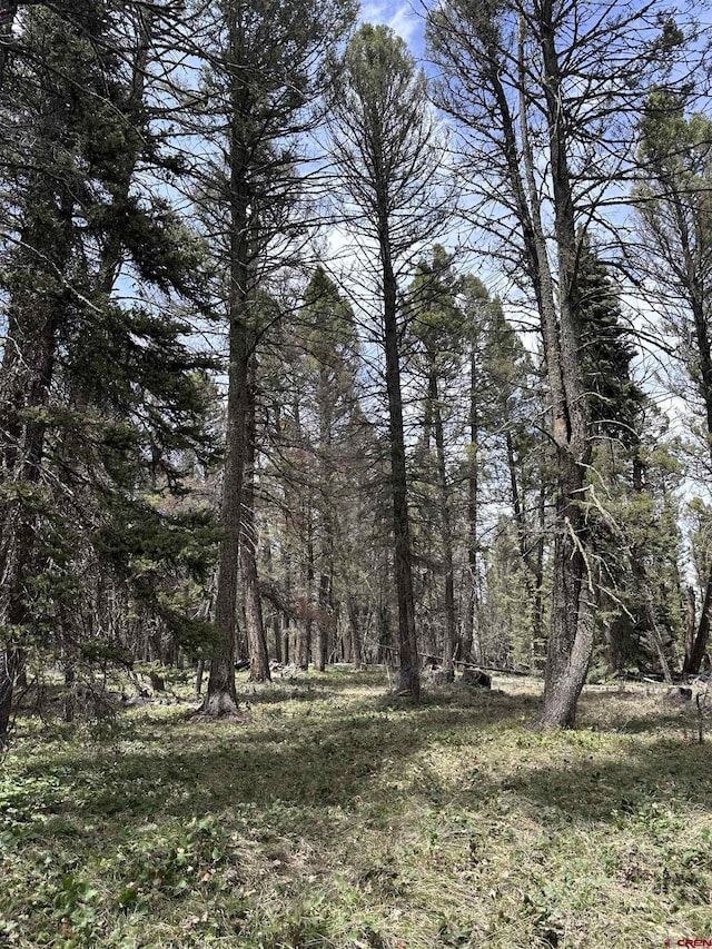 792 Crest Dr, Cimarron, CO 81220