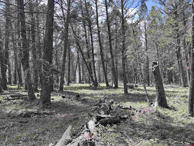 792 Crest Dr, Cimarron, CO 81220