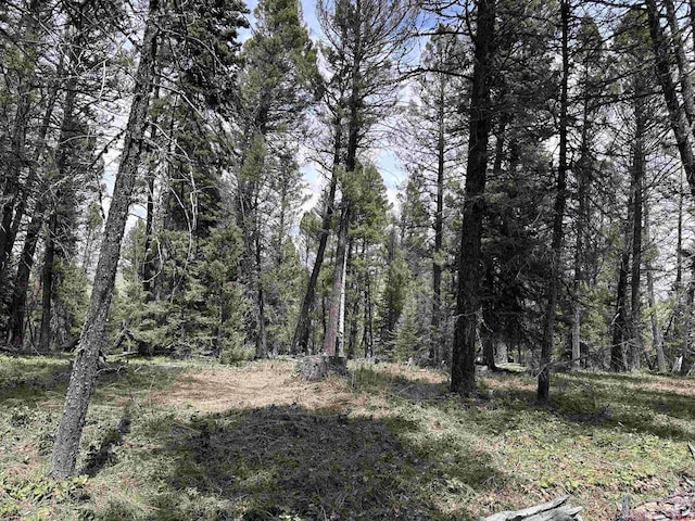 792 Crest Dr, Cimarron, CO 81220