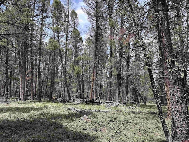 792 Crest Dr, Cimarron, CO 81220