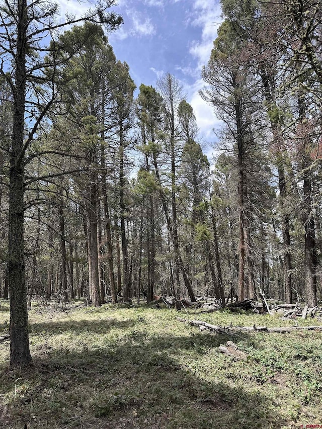 792 Crest Dr, Cimarron, CO 81220