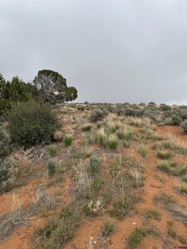 TBD Road 7, Dove Creek, CO 81324