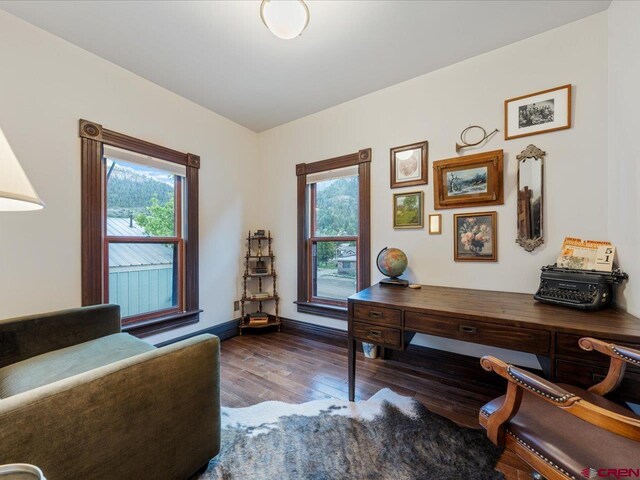 645 2nd St, Ouray, CO 81427 - office area featuring wood finished floors, healthy amount of natural light, and baseboards