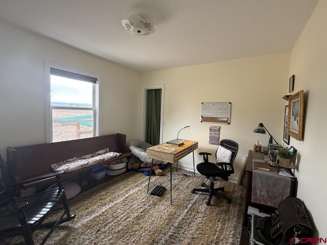 15556 D Rd, Delta, CO 81416 - office featuring baseboards