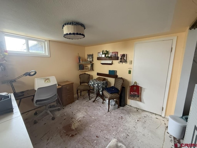 15556 D Rd, Delta, CO 81416 - office space with a textured ceiling