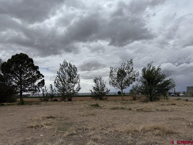 15556 D Rd, Delta, CO 81416 - view of local wilderness featuring rural landscape