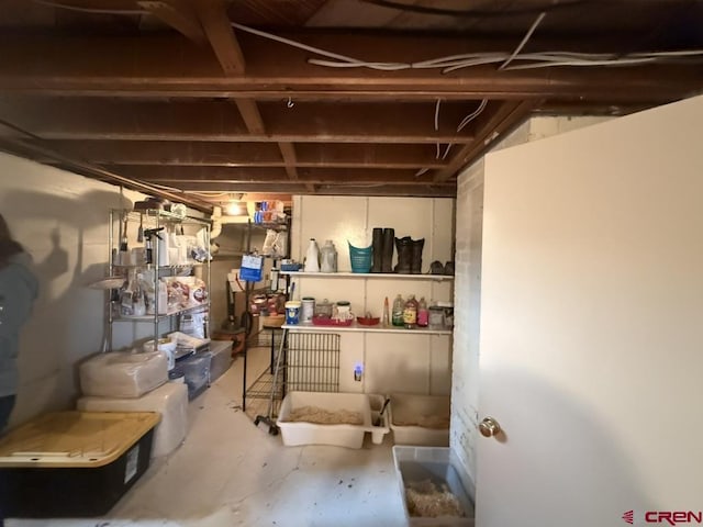 15556 D Rd, Delta, CO 81416 - view of unfinished basement