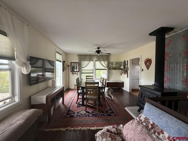 15556 D Rd, Delta, CO 81416 - dining space with wood finished floors, a wood stove, a ceiling fan, and baseboards