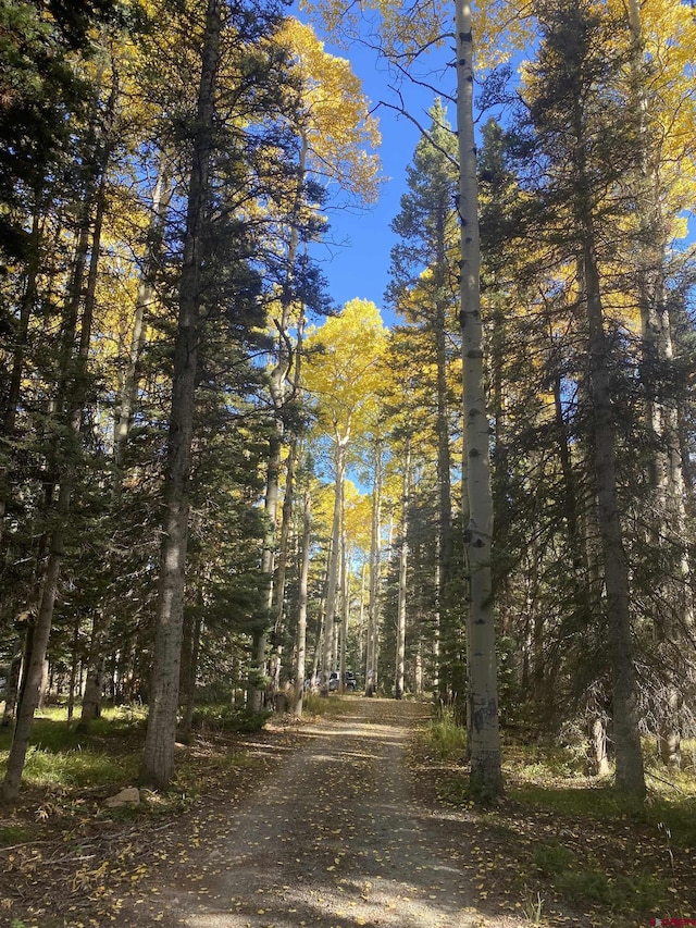 126 Crest Dr, Cimarron, CO 81220