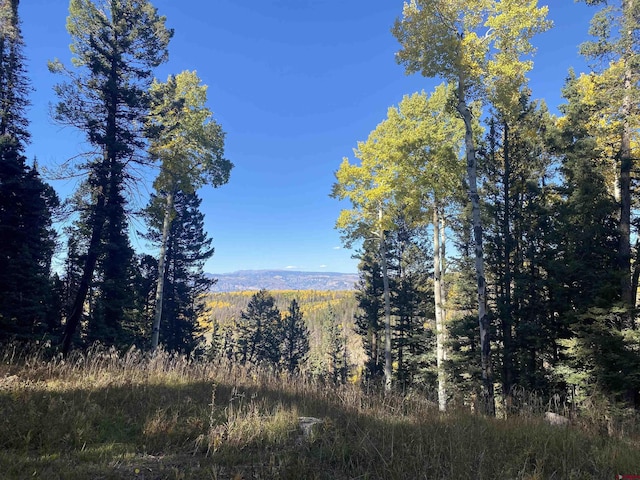 126 Crest Dr, Cimarron, CO 81220