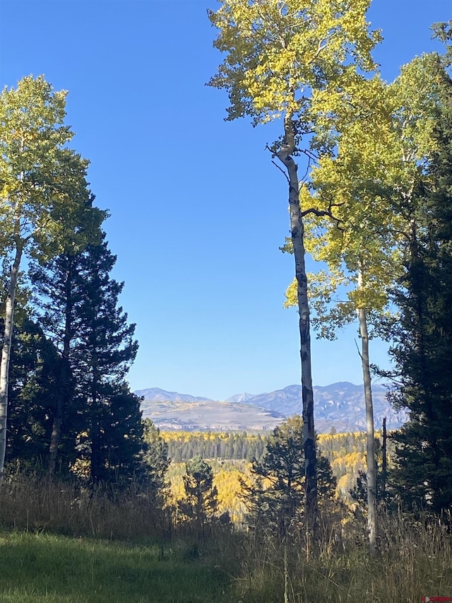 126 Crest Dr, Cimarron, CO 81220