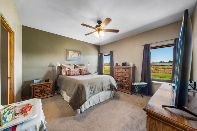 11611 Rd 28.1, Dolores, CO 81323 - bedroom featuring multiple windows, carpet, and ceiling fan