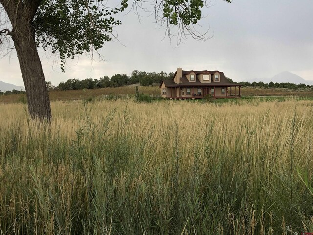 11611 Rd 28.1, Dolores, CO 81323 - view of yard