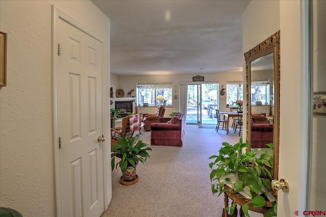 16 Mosswood Dr, Pagosa Springs, CO 81147 - hall featuring carpet flooring and a textured ceiling