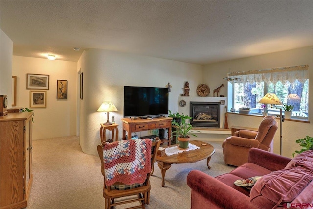 16 Mosswood Dr, Pagosa Springs, CO 81147 - carpeted living area featuring a glass covered fireplace and a textured ceiling