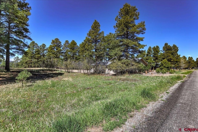 16 Mosswood Dr, Pagosa Springs, CO 81147 - view of yard