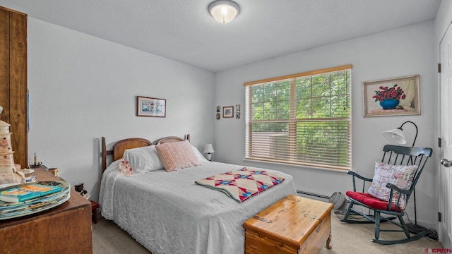 2384 Ridge Circle Dr Unit 14, Grand Junction, CO 81507 - carpeted bedroom with baseboard heating