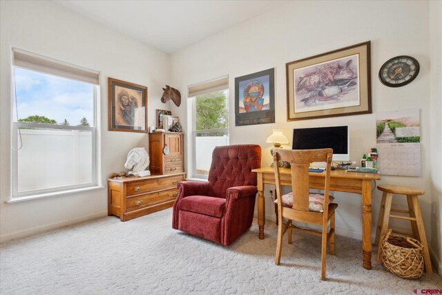 502 S Juniper Pl, Cortez, CO 81321 - office with light colored carpet and baseboards