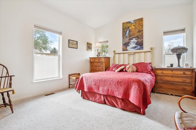 502 S Juniper Pl, Cortez, CO 81321 - carpeted bedroom with vaulted ceiling and baseboards