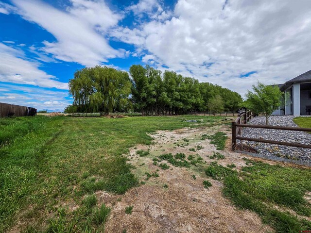1771 Trappers Ct, Delta, CO 81416 - view of yard with fence