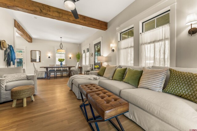 414 N Spruce St, Gunnison, CO 81230 - living room featuring wood finished floors and beam ceiling