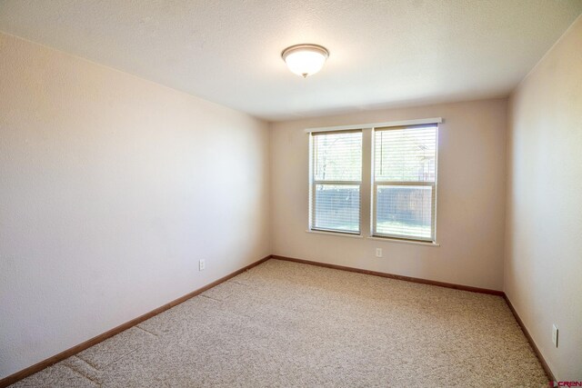801 L Way, Cortez, CO 81321 - spare room with light colored carpet and baseboards