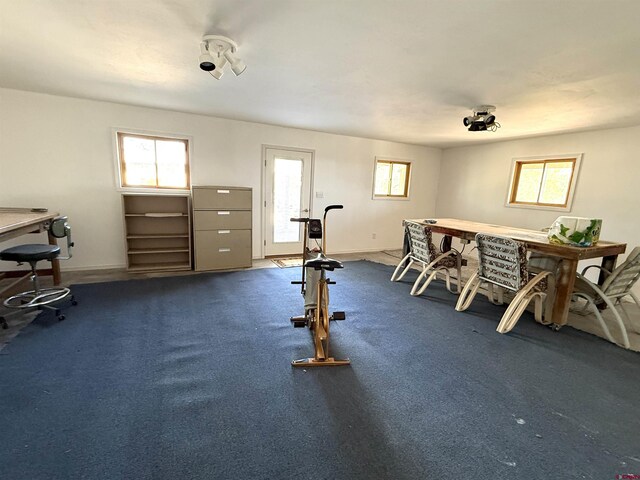 8041/2 S Broadway, Cortez, CO 81321 - exercise room featuring plenty of natural light, carpet, and baseboards