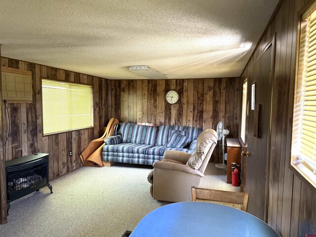 8041/2 S Broadway, Cortez, CO 81321 - carpeted living room with wooden walls, a wood stove, plenty of natural light, and a textured ceiling