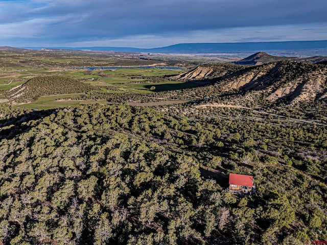351 Slide Down Rd, Crawford, CO 81415 - view of mountain background