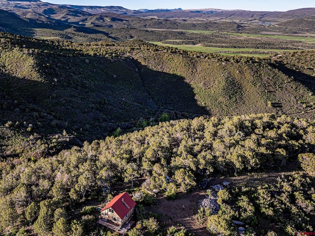351 Slide Down Rd, Crawford, CO 81415 - aerial view of property's location with a mountainous background